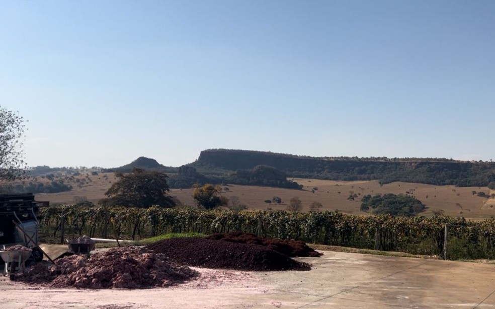 Vin�cola Serra das Gal�s, em Para�na � Foto: Divulga��o/Vin�cola Serra das Gal�s