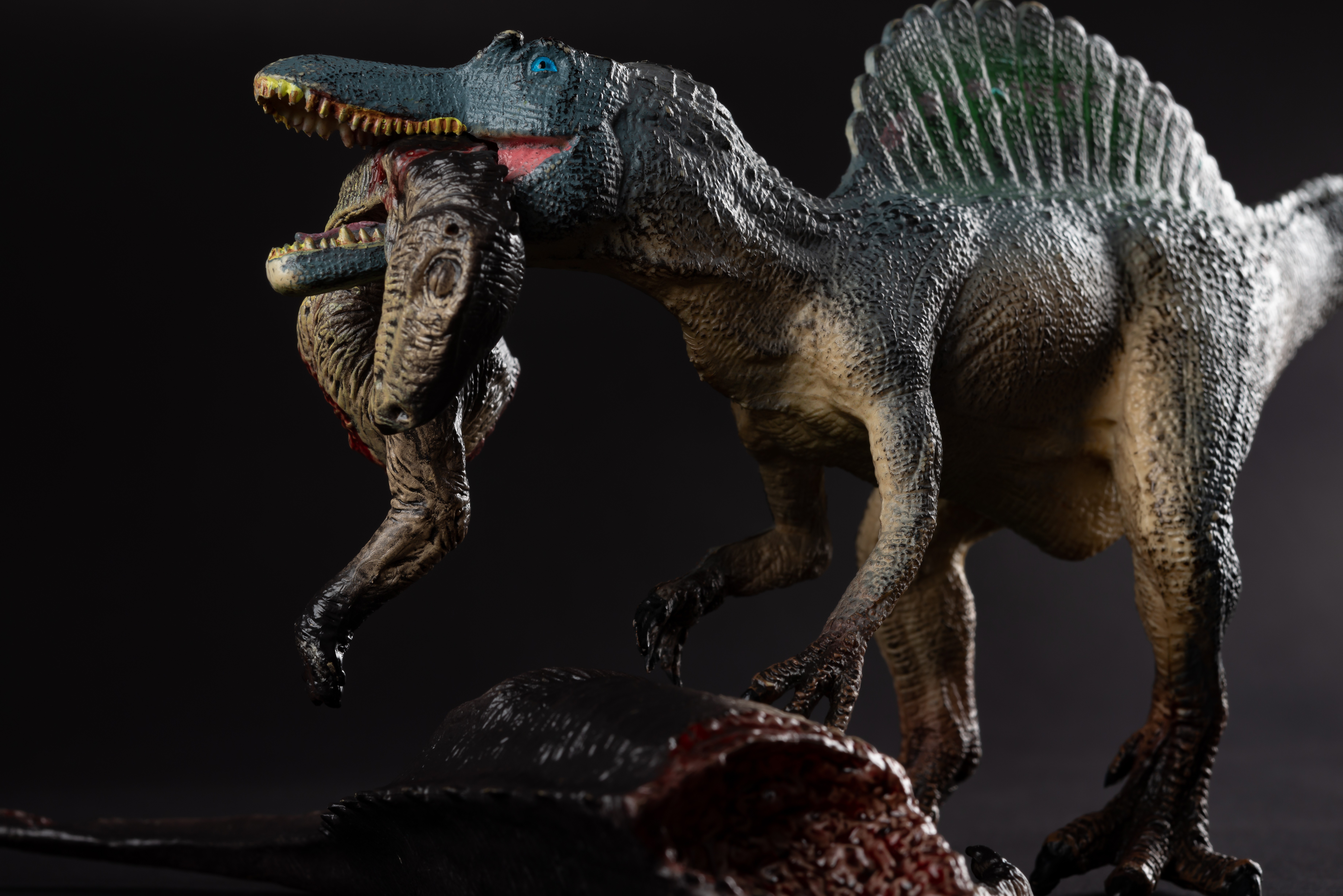 Cicatrizes de dinossauros encontrados no Brasil revelam o comportamento agressivo destes predadores