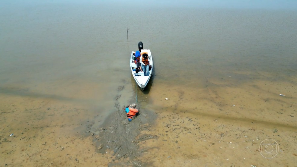 Clima extremo: seca severa causou morte de botos e transformou rio em lama no Amazonas — Foto: Reprodução/TV Globo