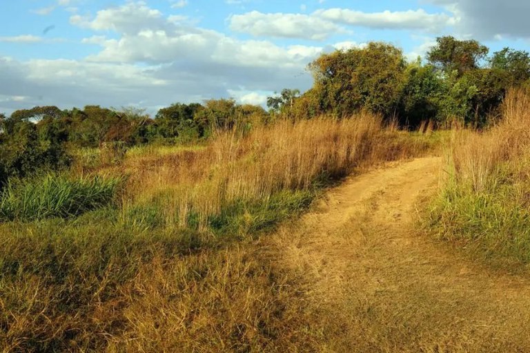 Fazenda ocupada sem autorização e avaliada em R$ 22 milhões terá que ser devolvida à União em RO