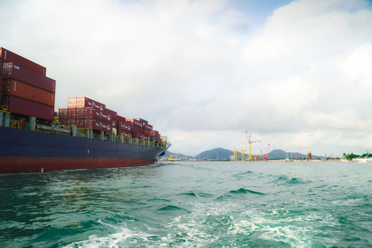 Porto de Santos, SP, promove ações de preservação do mar e da vida aquática; entenda