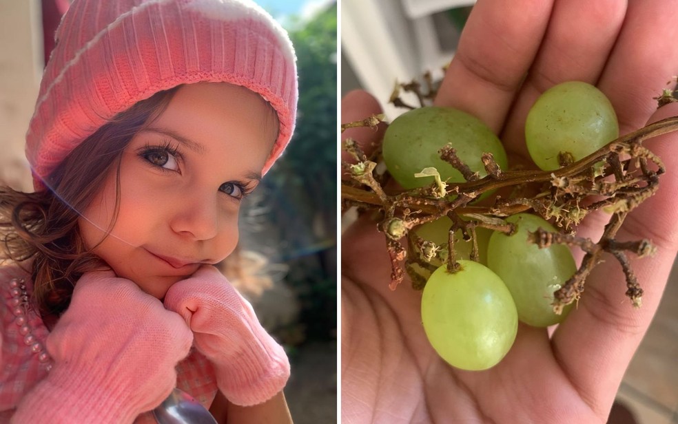 Alice Emanuelli Pereira Bacelar, de 3 anos, morreu após se engasgar enquanto comia uva em Goiânia — Foto: Arquivo Pessoal/Leidiane Pereira