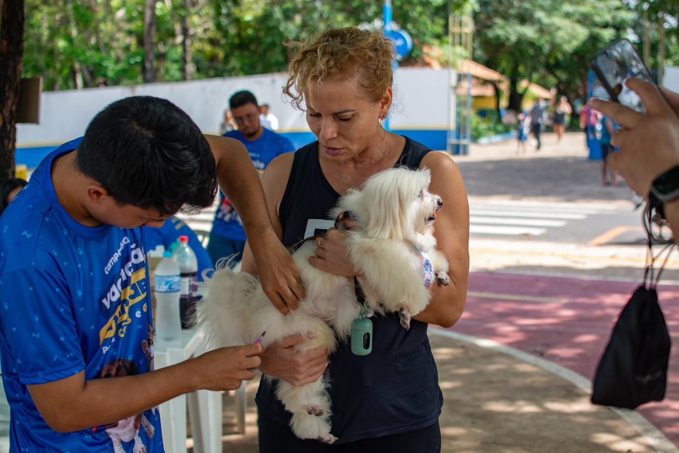 Vacinação antirrábica percorre bairros de Santarém a partir desta quinta-feira, 16; veja rotas