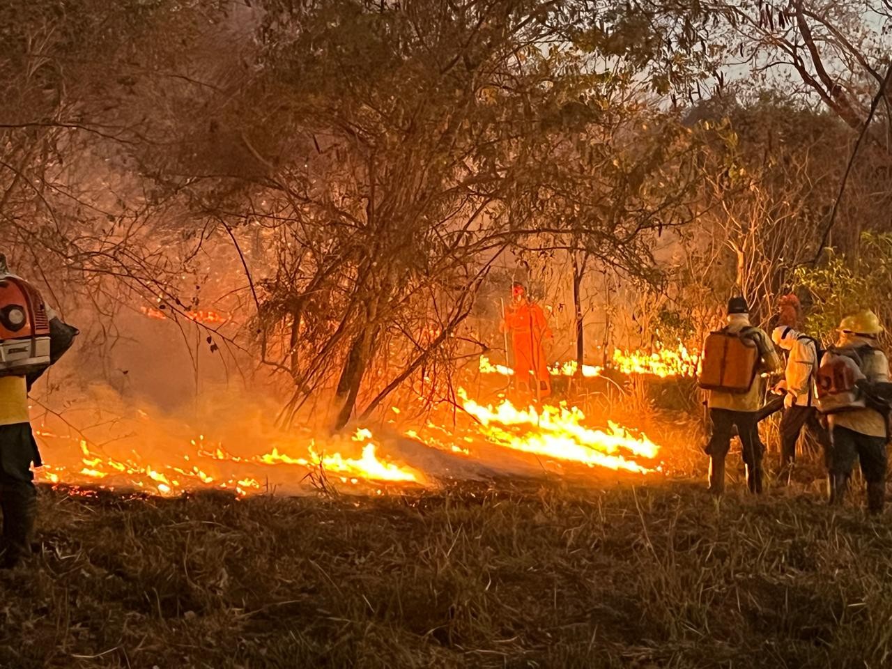 Incêndio atinge área do Parque Estadual da Lapa Grande, em Montes Claros