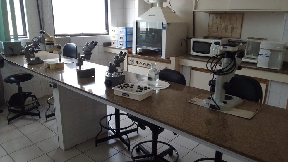 Laboratório da antiga Sucen em São Paulo — Foto: APqC/Divulgação