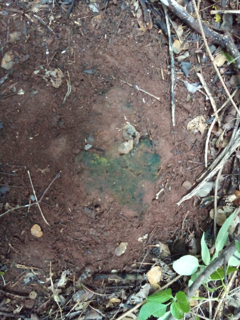 Escavações devem ser feitas em local onde vestígios Tupi foram encontrados, na PB — Foto: Juvandi Santos/Arquivo pessoal 