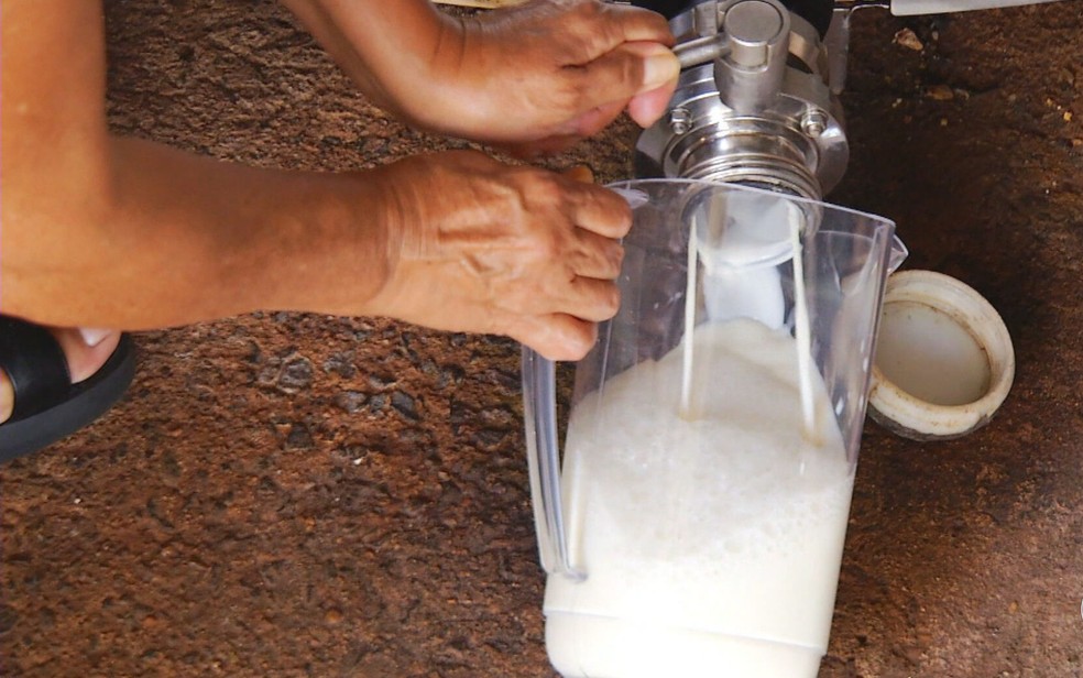 Leite produzido em fazenda — Foto: Reprodução/TV Anhanguera