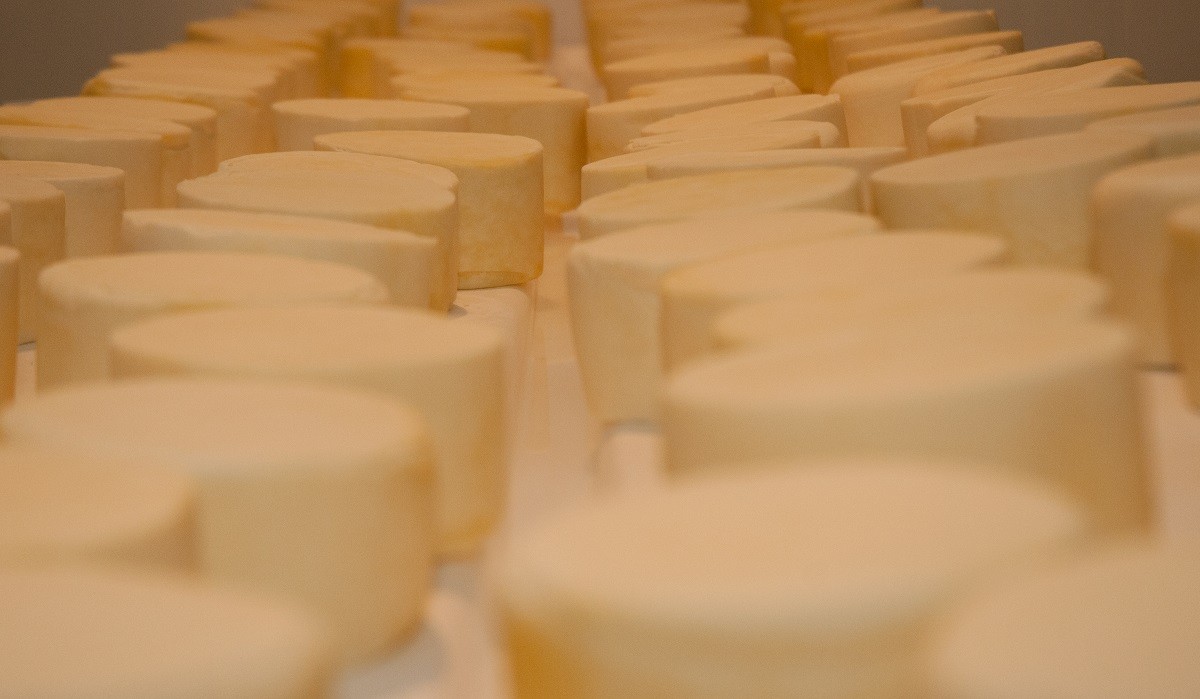 Do interior para o pódio: Queijo de Juiz de Fora conquista medalha de ouro no 'Mundial do Queijo Brasil'