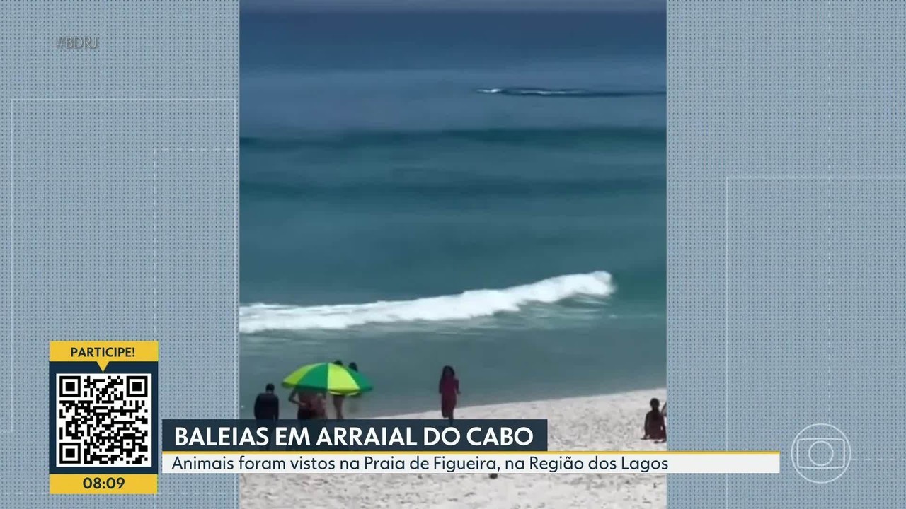 VÍDEO: baleias são avistadas em praia de Arraial do Cabo 
