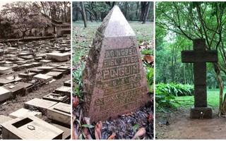 Parque Ibirapuera já abrigou cemitério de animais com mais de 100 túmulos; duas lápides ainda podem ser vistas