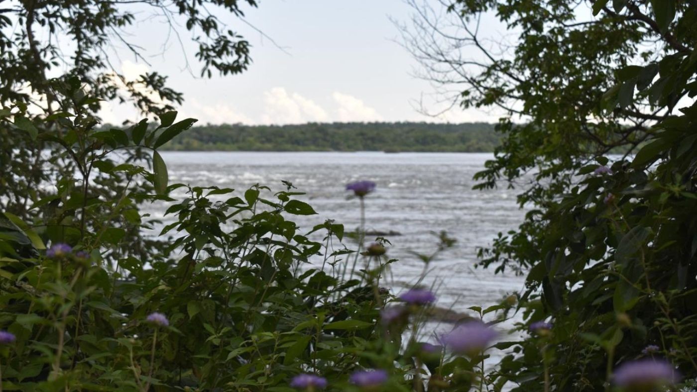 Trilhas e ciclovia: novidades nas Cataratas do Iguaçu