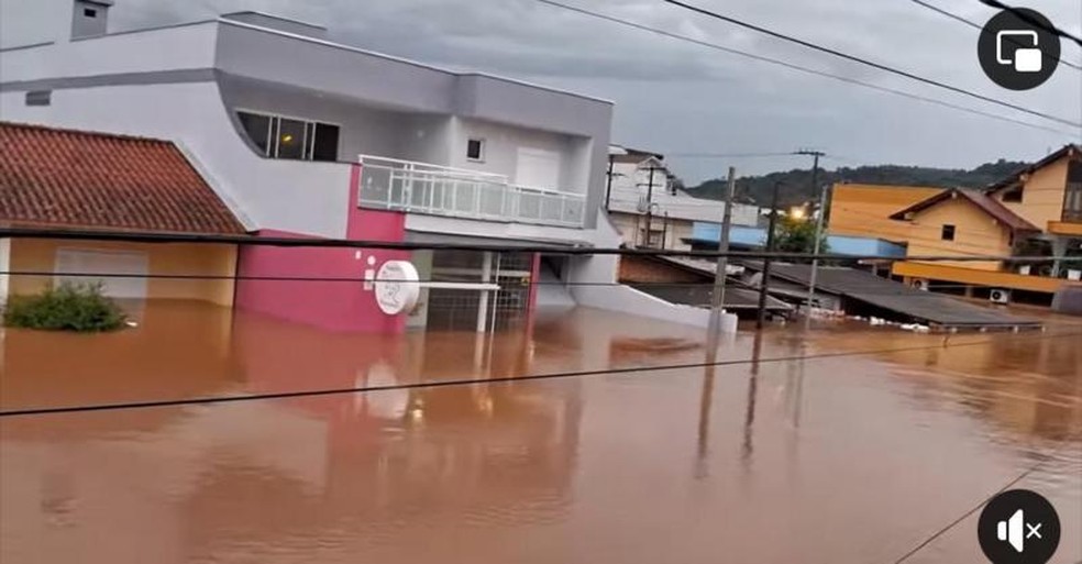 Pet shop (edifício em rosa) de Fabiana Sussenbach na tarde da última quinta-feira (02) — Foto: Arquivo pessoal/Zoraia Câmara