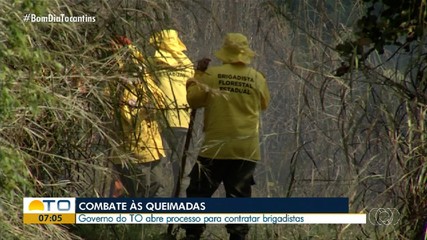 Governo abre processo para contratar brigadistas para atuarem no combate às queimadas