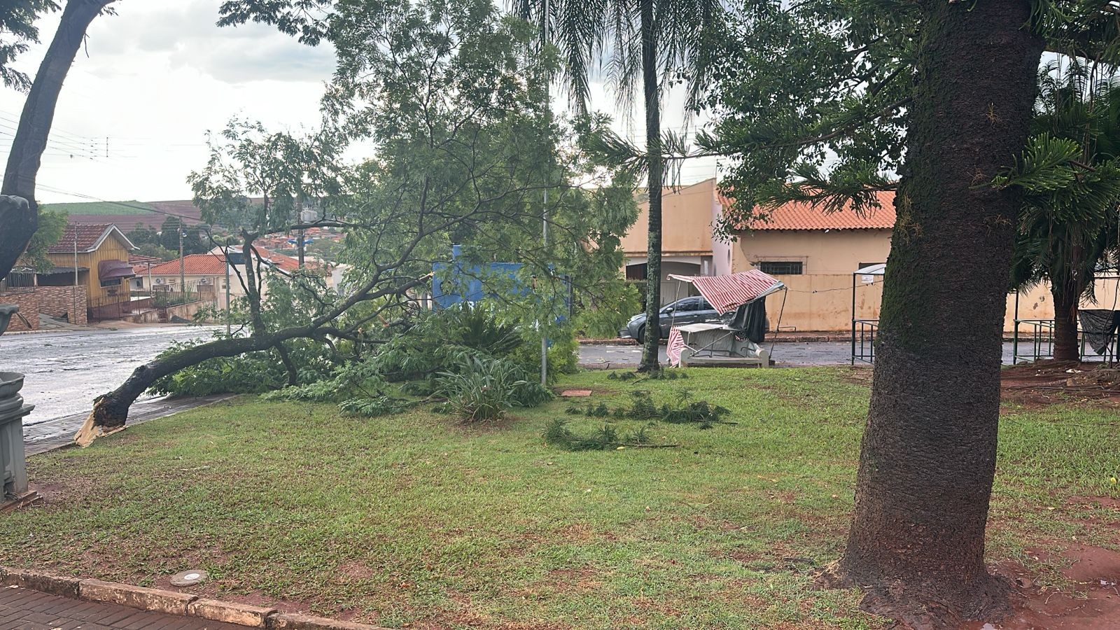 Jovem morre após árvore cair em casa de madeira e estrutura desabar durante temporal em Iepê