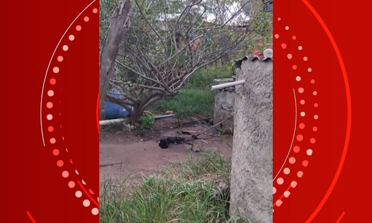 Homem é preso após invadir casa, matar cachorro e furtar pertences na Bahia