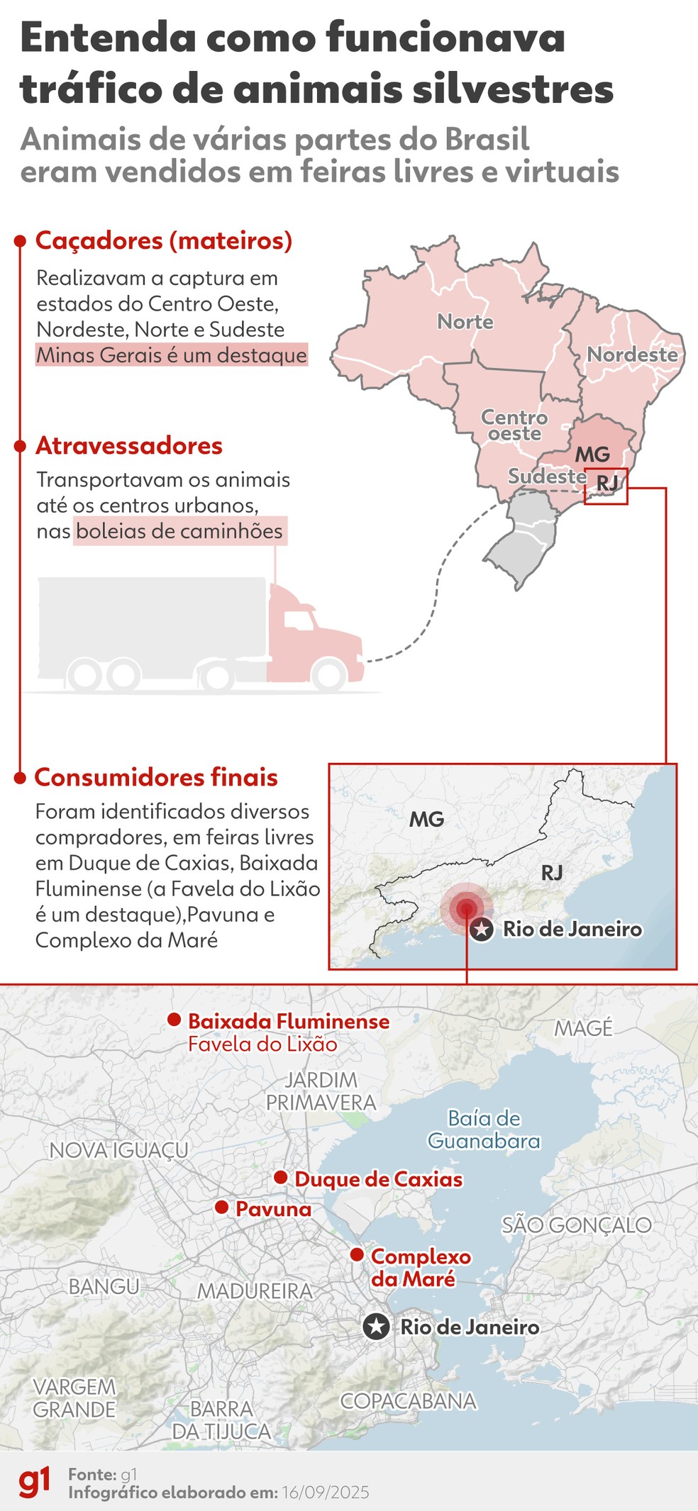 Quem é Sheik, maior contrabandista de animais silvestres do RJ | G1