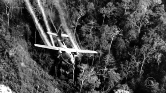 Pantanal: pecuarista usa agente laranja, o mesmo da Guerra do Vietnã, para desmatar áreas do bioma - Programa: Fantástico 