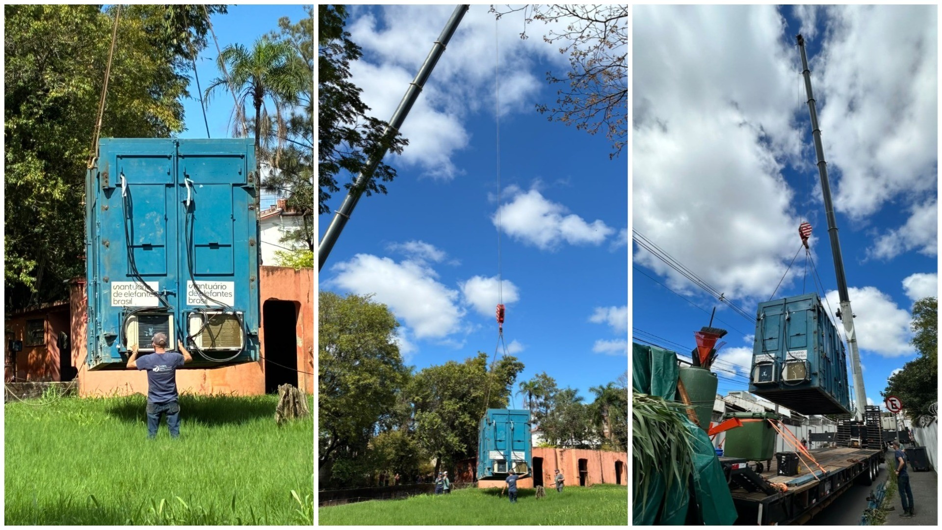 Da chegada à despedida: elefante Sandro deixa Sorocaba nesta quarta-feira; veja linha do tempo