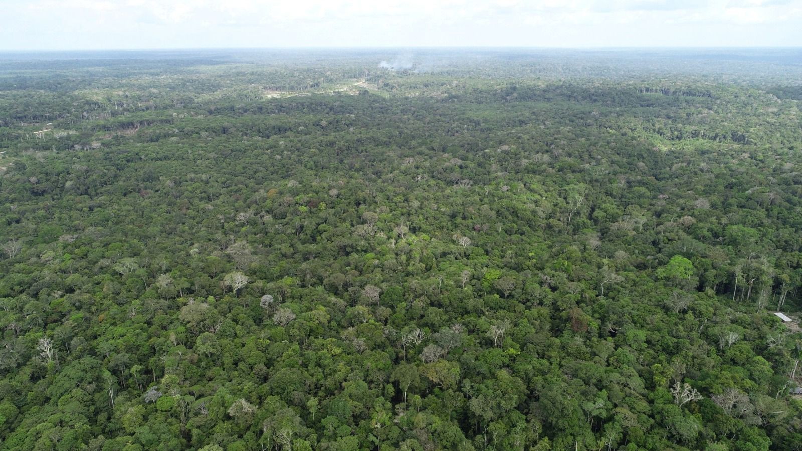 Amazonas registra aumento de 20% nos focos de calor em agosto; Apuí concentra 34% dos registros
