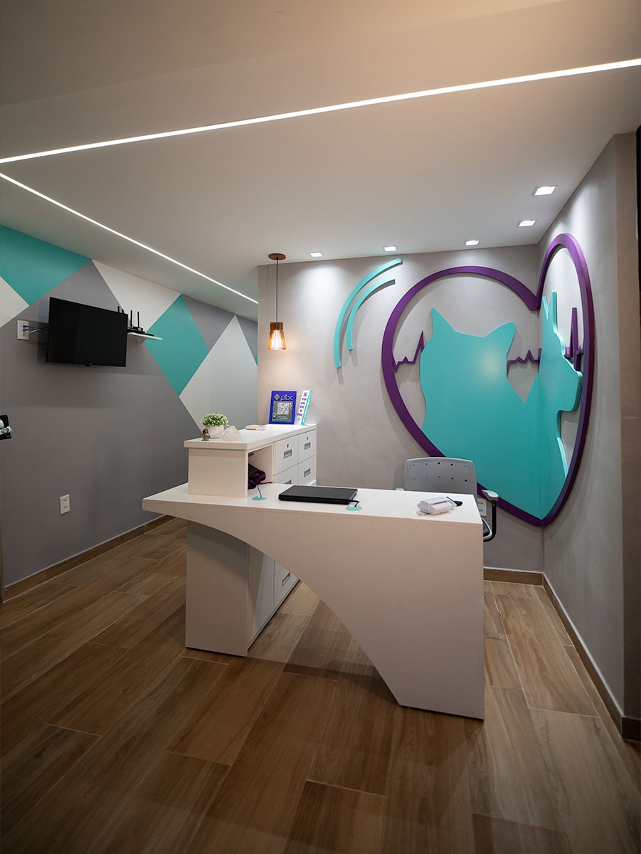 Inaugura em Rio das Ostras clínica veterinária especializada em cães e gatos