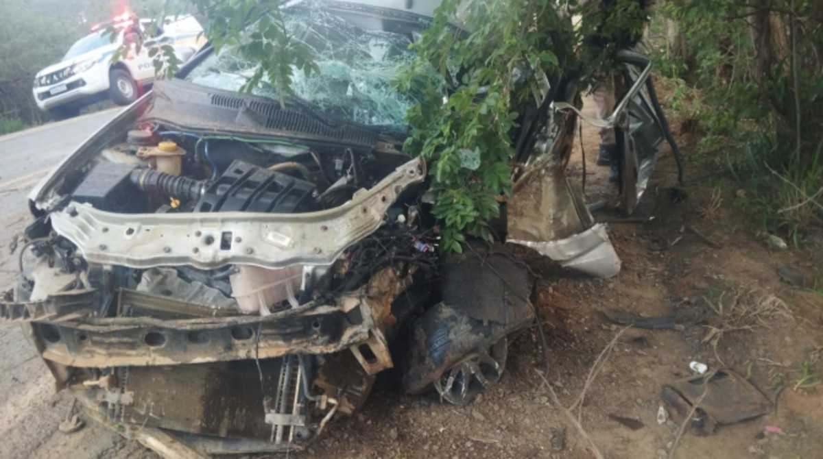 Motorista morre após perder controle de carro e atingir árvore na MG-401