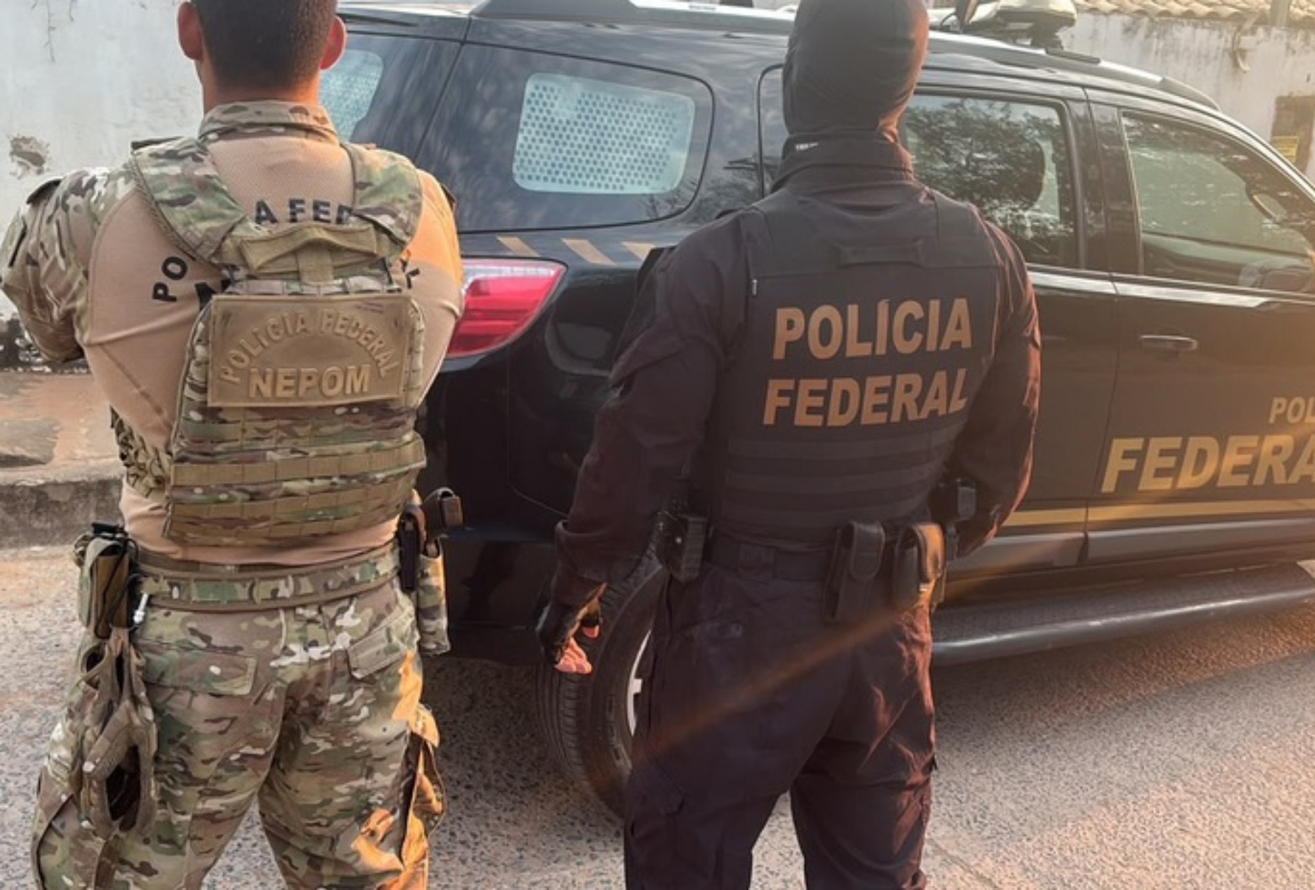PF mira madeireira em operação contra desmatamento ilegal no Pantanal
