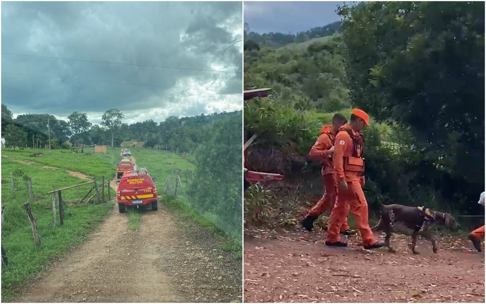 Equipes utilizaram cães farejadores para buscar pela vítima em Bom Jesus da Penha — Foto: Corpo de Bombeiros e Polícia Militar