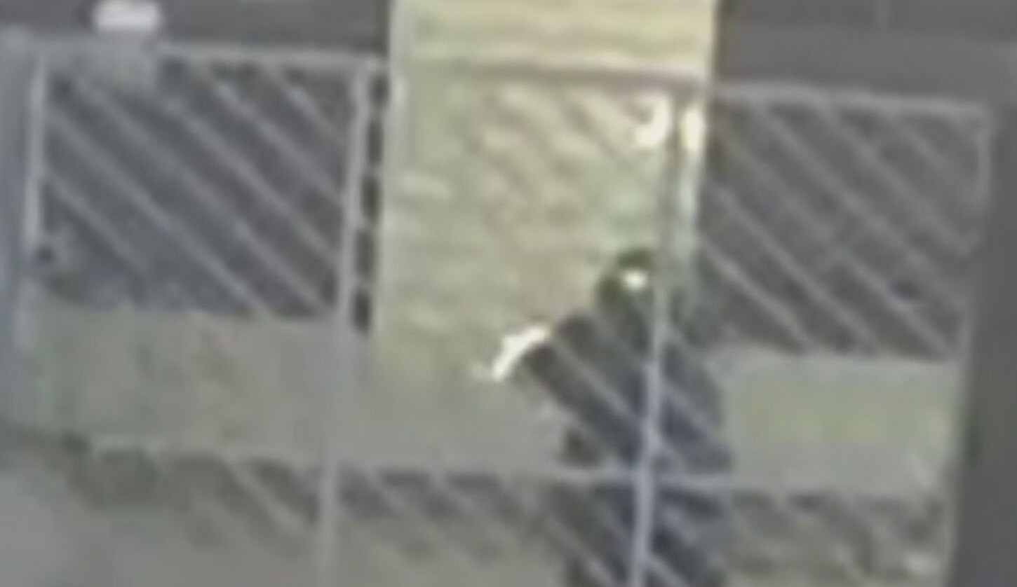 Mulher é baleada no quintal de casa; vídeo mostra motociclista na calçada atirando mais de 15 vezes