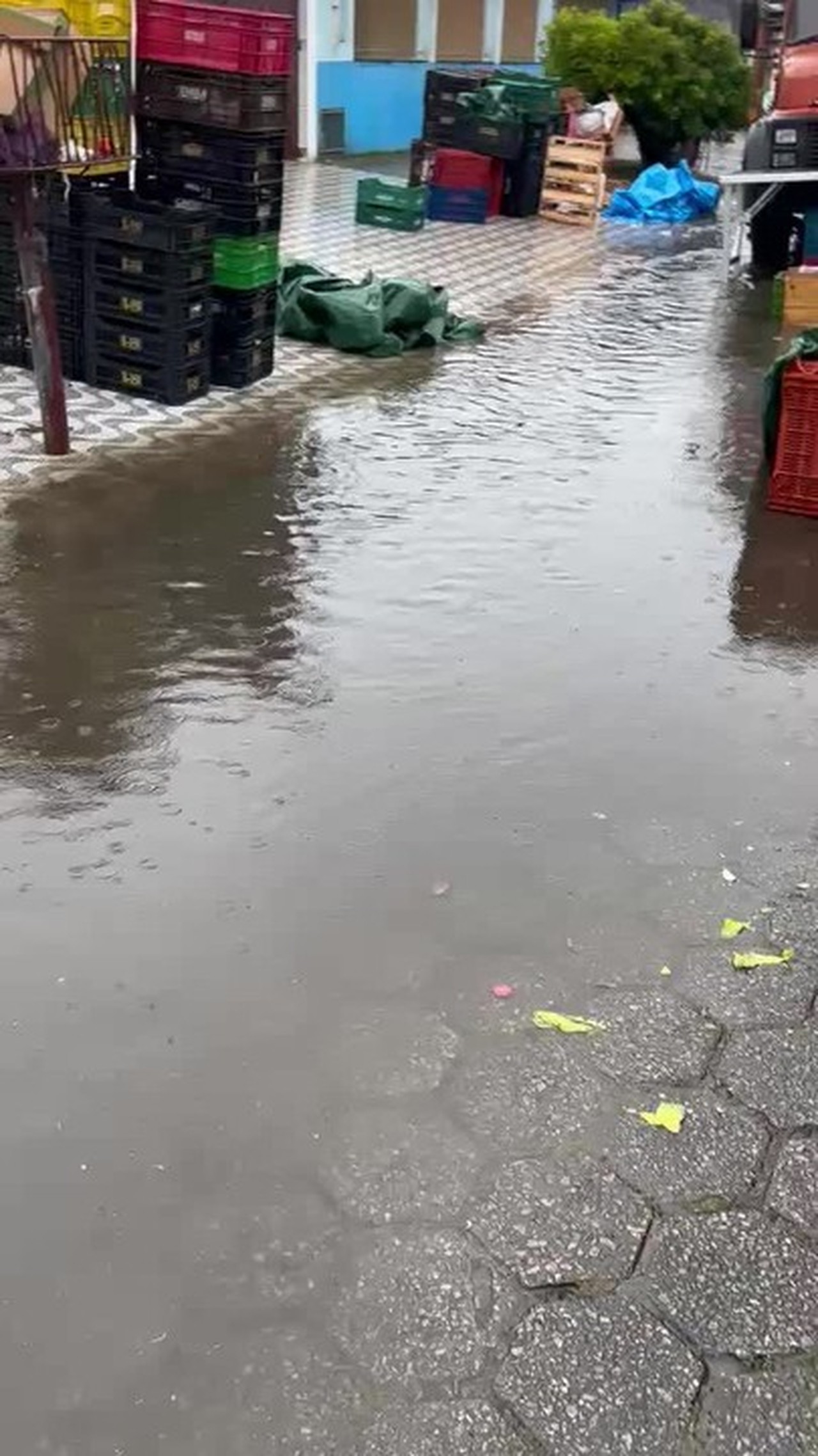 Defesa Civil emite alerta severo de chuva para Caraguatatuba e Santa Branca