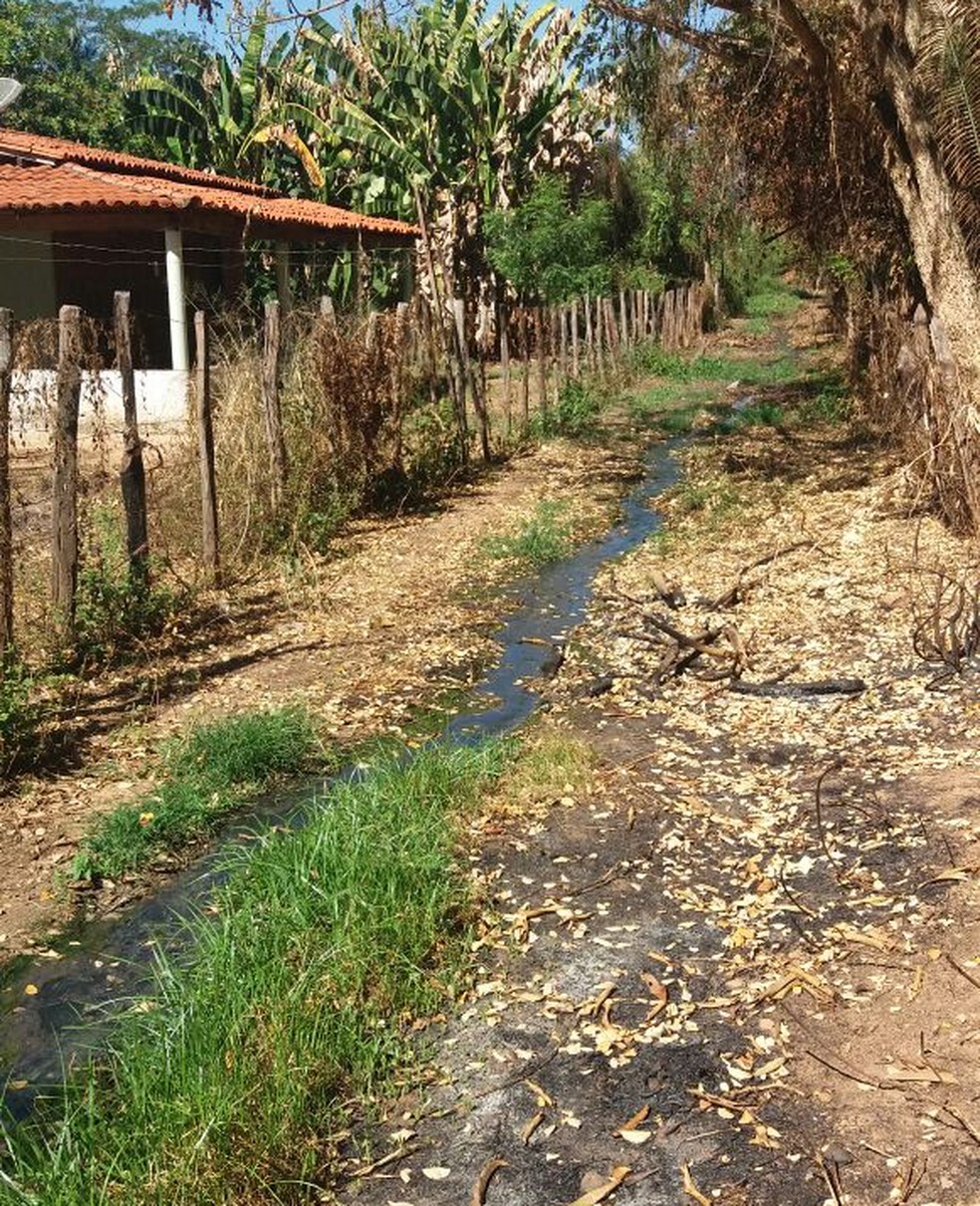 Academias em Parnarama - MA - Brasil