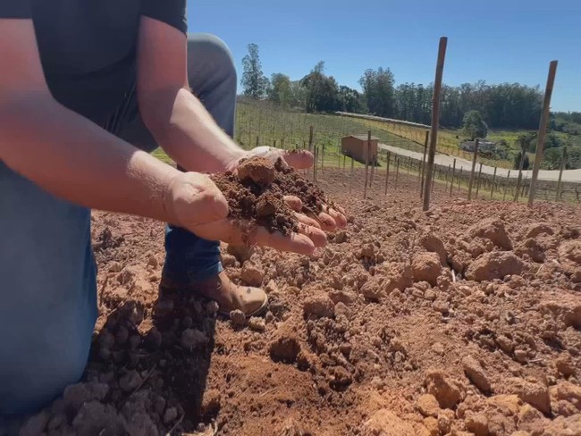 Cuidar do solo é fundamental para garantir uma boa produtividade