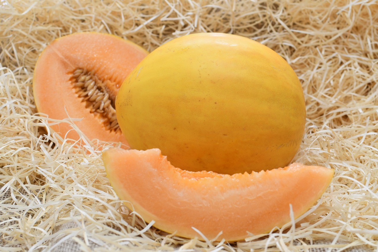 Melão superdoce e milho para comer cru: veja curiosidades de feira em Holambra