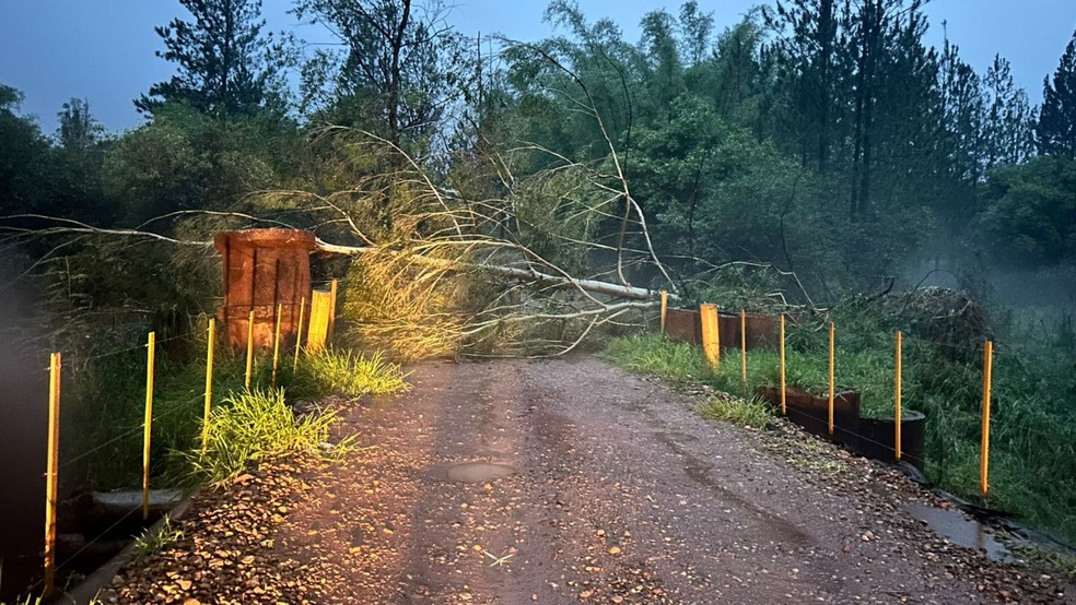 Chuva acompanhada com queda de granizo causou estragos em São Manuel — Foto: Prefeitura de São Manuel/reprodução