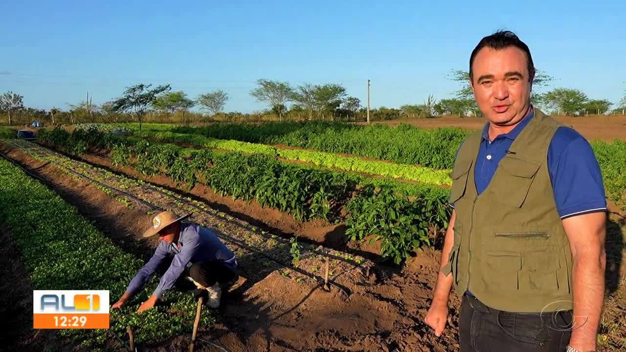 VÍDEOS: AL1 de segunda-feira, 16 de setembro