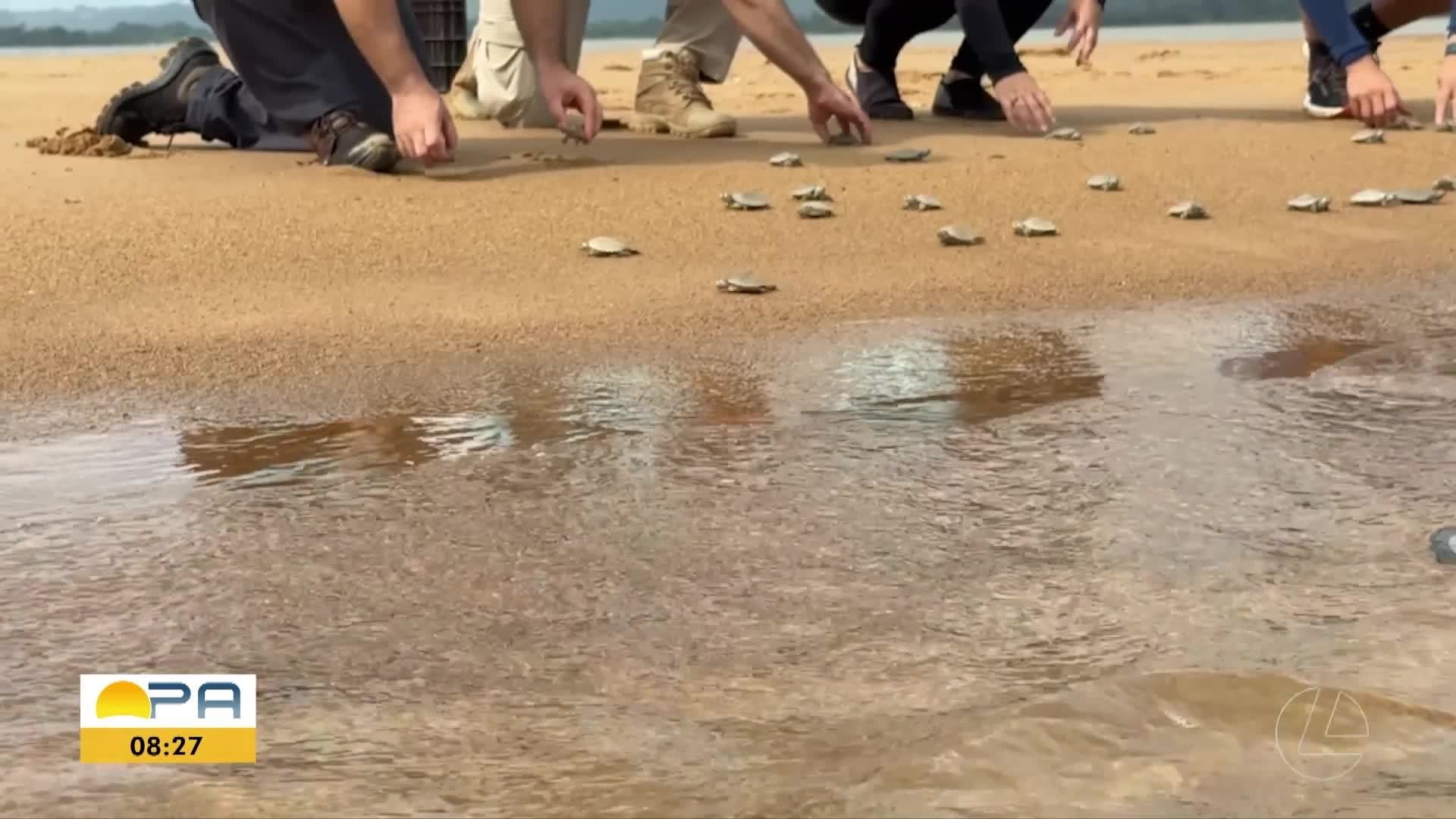 Você Não Tá Convidada pro Meu Bat Mitzvá!