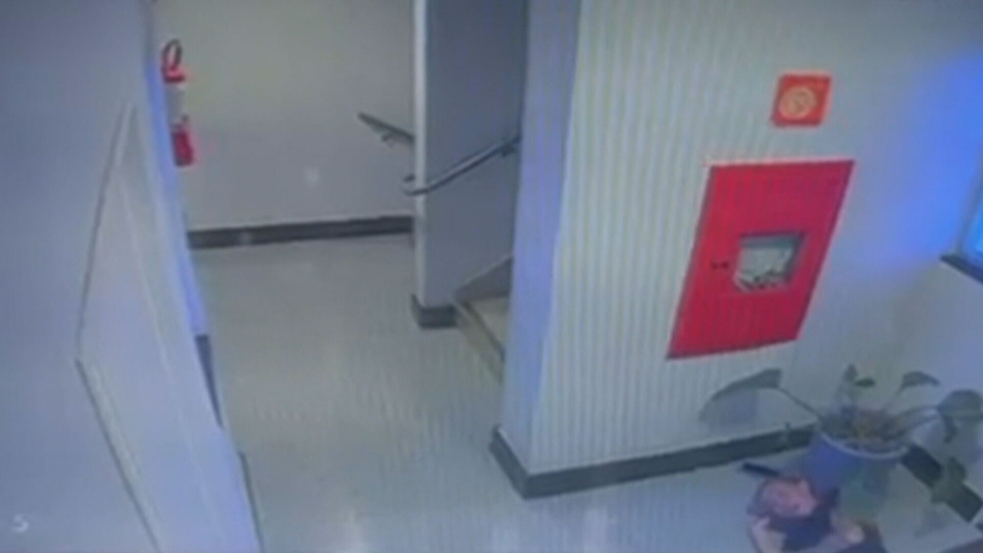 Cuidadora acusa filho de idosa de agressão em Brasília; VÍDEO mostra empurrão