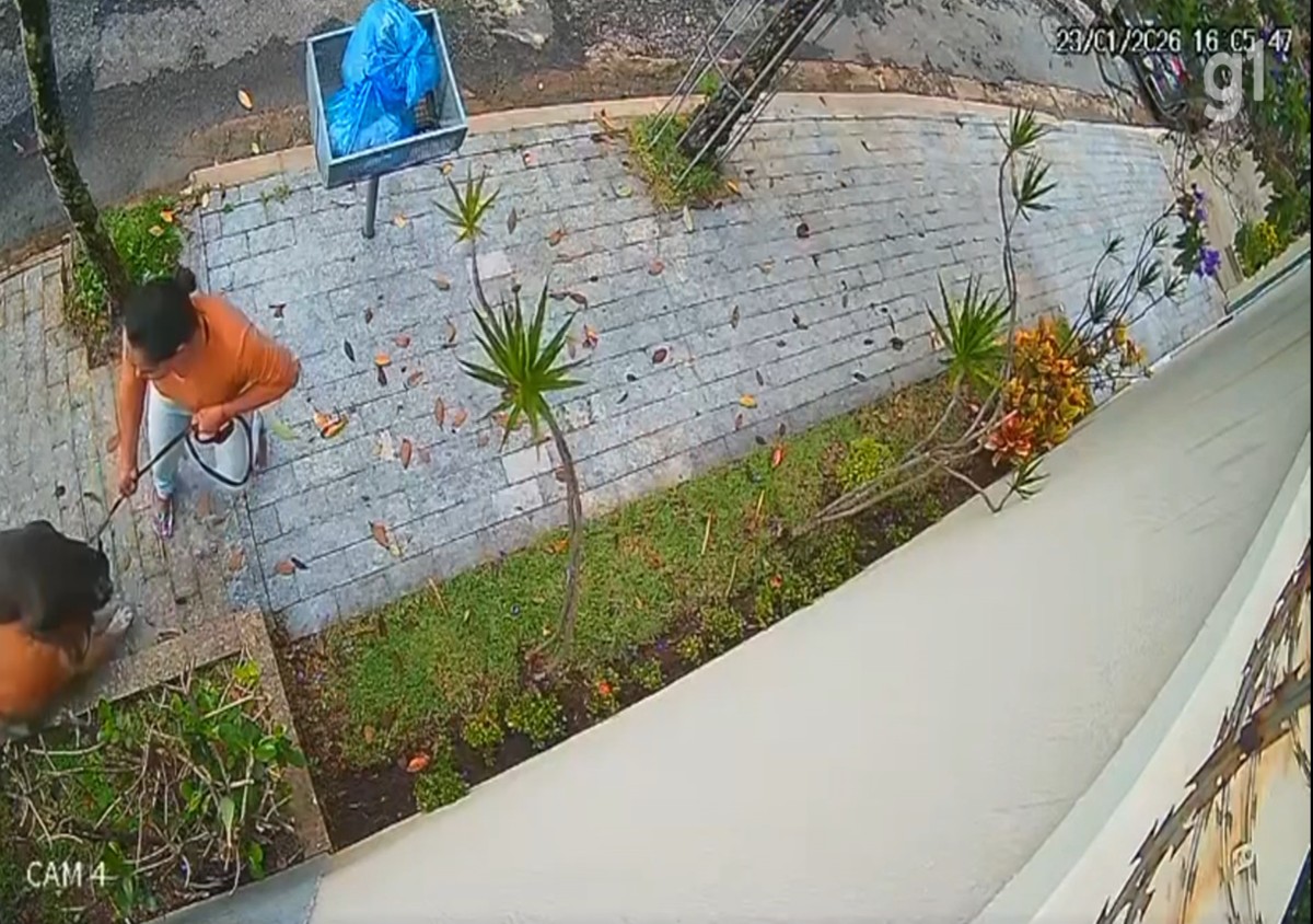 Pitbull foge de imóvel em obra e ataca cão idoso durante passeio no bairro Santa Lúcia, em BH