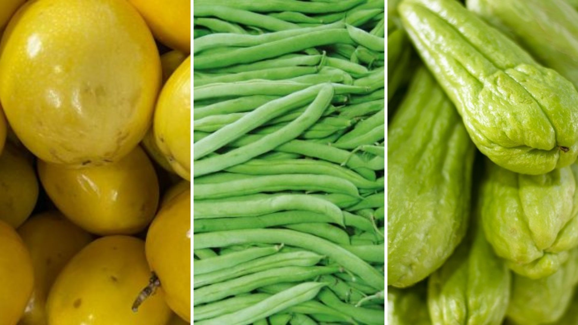 Preços de legumes e frutas sobem até 30% em setembro por conta de estiagem, aponta levantamento do Ceasa Campinas