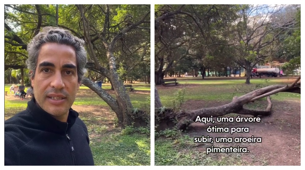 O botânico Ricardo Cardim gravou um vídeo relatando o episódio e questionando a proibição de uma criança subir em uma árvore. — Foto: Reprodução
