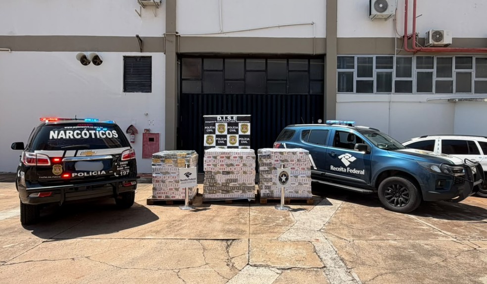 Polícia apreende 450 mil cigarros armazenados em residência em Presidente Prudente (SP) — Foto: Polícia Civil/Divulgação