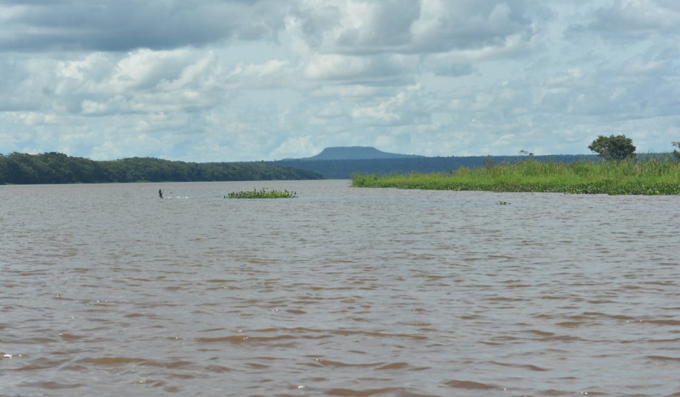 Rio Paranapanema margeia o parque, em Teodoro Sampaio  — Foto: Stephanie Fonseca/g1