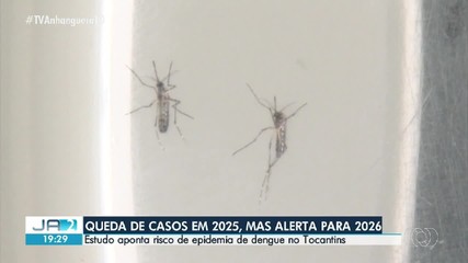 Tocantins tem queda de casos de dengue em 2025, mas alerta para 2026
