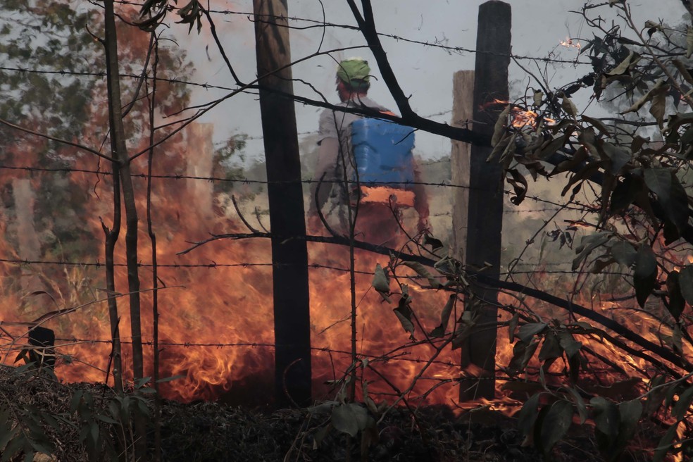 Incêndio atinge uma extensa área de vegetação próxima ao Pico das Cabras, no distrito de Joaquim Egídio, em Campinas (SP) — Foto: DENNY CESARE/CÓDIGO19/ESTADÃO CONTEÚDO