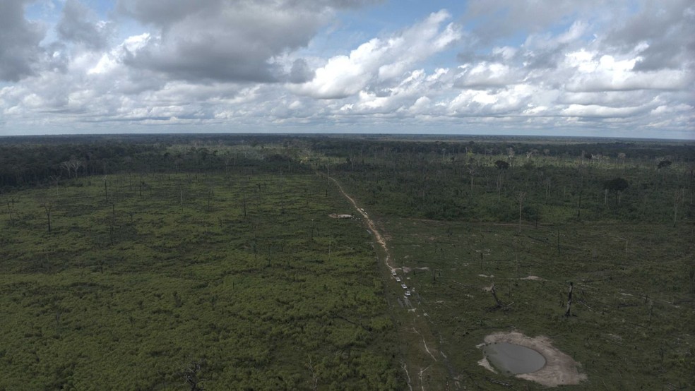Ipaam aplica multa de R$ 5,4 milhões por desmatamento ilegal em área protegida no Amazonas — Foto: Ipaam/Divulgação