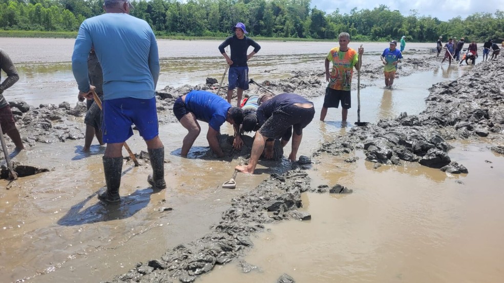 No Bailique, ribeirinhos cavam leito de canal que secou durante estiagem no Amapá — Foto: Reprodução