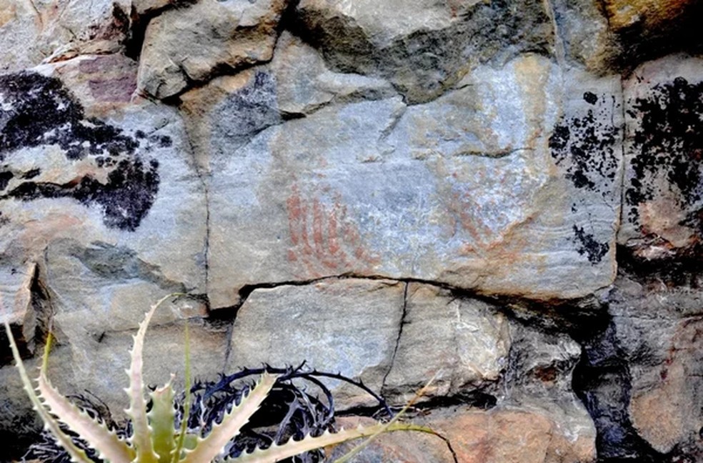 Pinturas rupestres encontradas no sítio arqueológico — Foto: IF Baiano