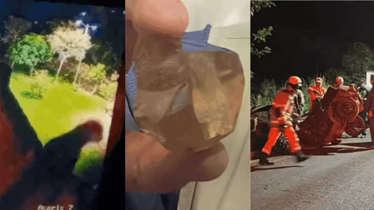 Você viu? Onça salta muro de condomínio, diamante de 646 quilates descoberto e irmãos em acidente com carro que transportava 7 pessoas