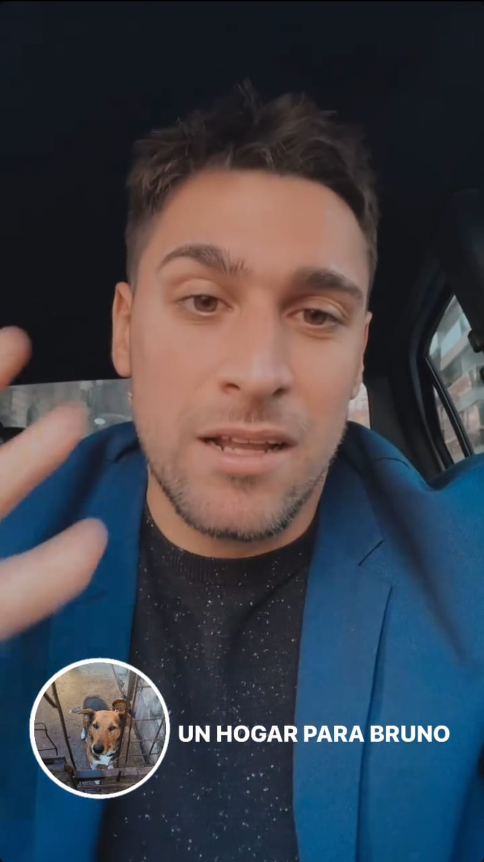 Repórter fazendo campanha pela adoção de Bruno — Foto: Instagram / Reprodução
