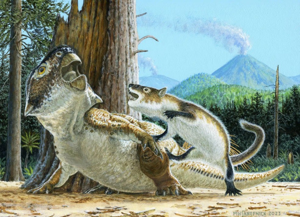 Representação artística da luta entre o pequeno mamífero e o dinossauro. — Foto: Divulgação/Michael Skrepnick