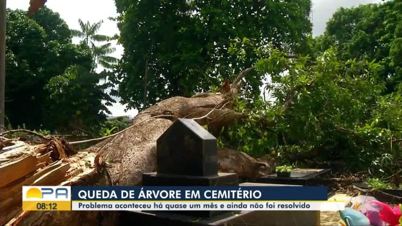 VÍDEOS: BDP de terça-feira, 7 de janeiro de 2025